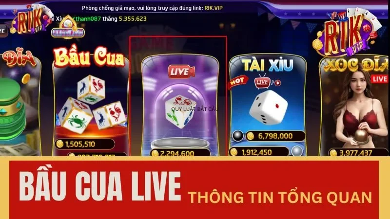 Hướng dẫn cách chơi Bầu Cua Live tại Rikvip chắc thắng