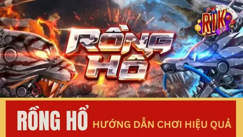 Định nghĩa Rồng Hổ là gì dễ hiểu nhất