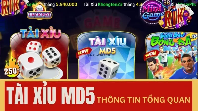 Tài Xỉu MD5 giúp cực thủ “hốt” tiền khủng từ nhà cái